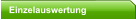 Einzelauswertung