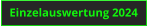Einzelauswertung 2024