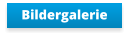 Bildergalerie