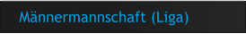 Männermannschaft (Liga)