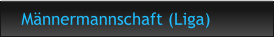Männermannschaft (Liga)